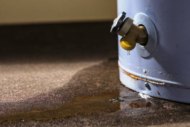 Best Ceiling water damage repair  in Cedar Knolls, NJ