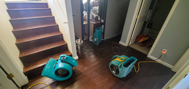 Best Commercial water damage restoration  in Cedar Knolls, NJ