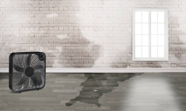 Best Emergency water damage restoration  in Cedar Knolls, NJ