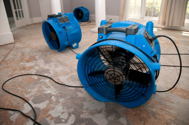 Best Flood damage cleanup  in Cedar Knolls, NJ