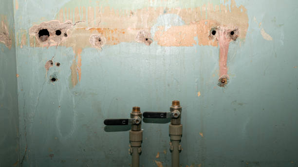  Cedar Knolls, NJ Water damage restoration Pros